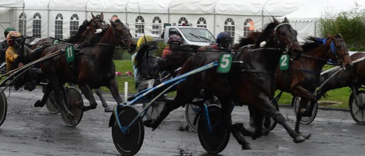 Trébol (5), dirigido por Biel Pou, en los metros finales de su victoria en el ´Prix du Luxembourg´ sobre el barro de Vincennes.