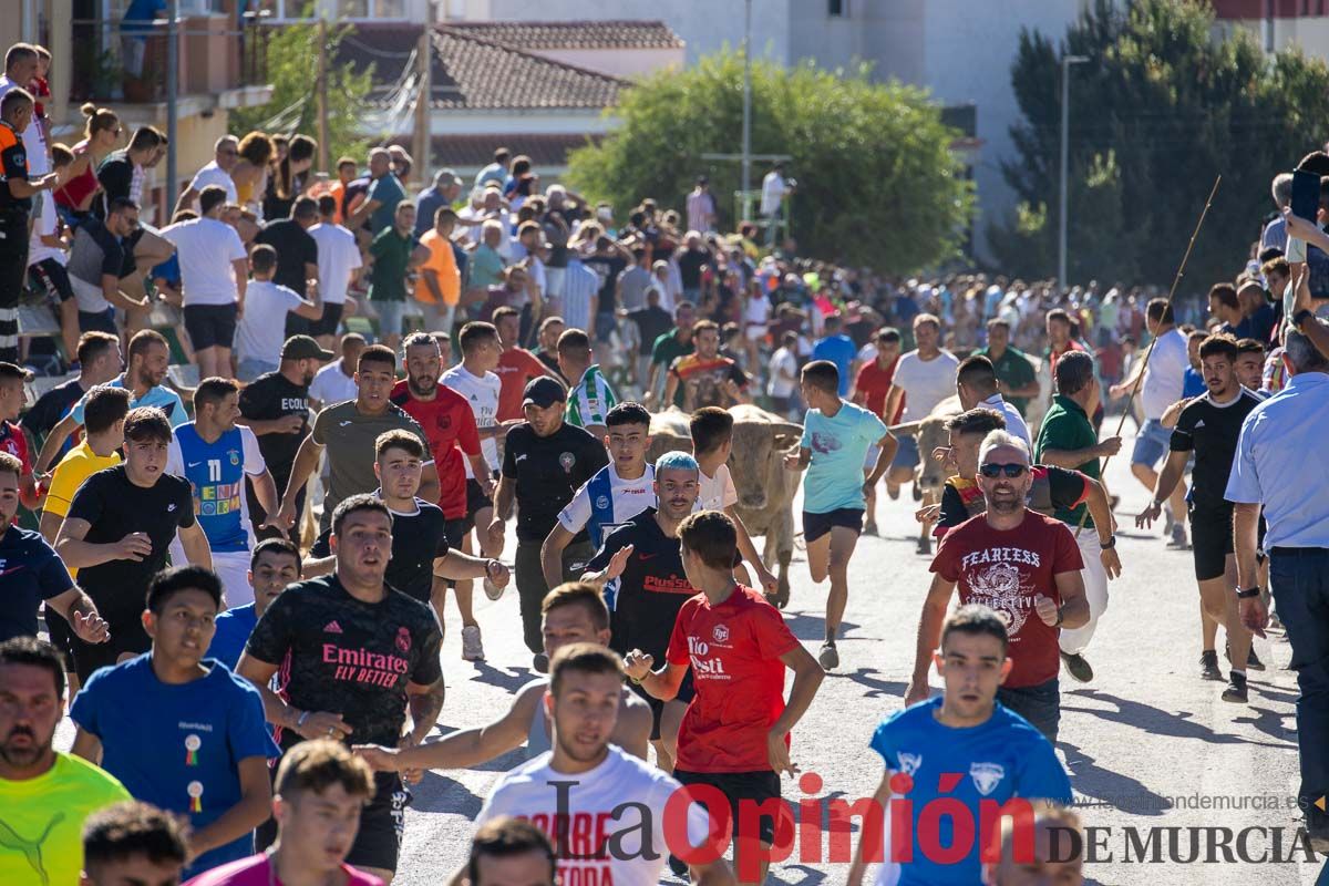 Quinto encierro de la Feria del Arroz de Calasparra