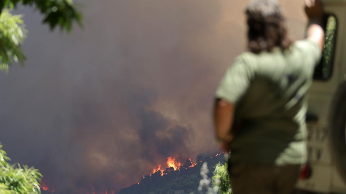 Estabilizado el incendio de Sierra Bermeja tras arrasar 3.500 hectáreas