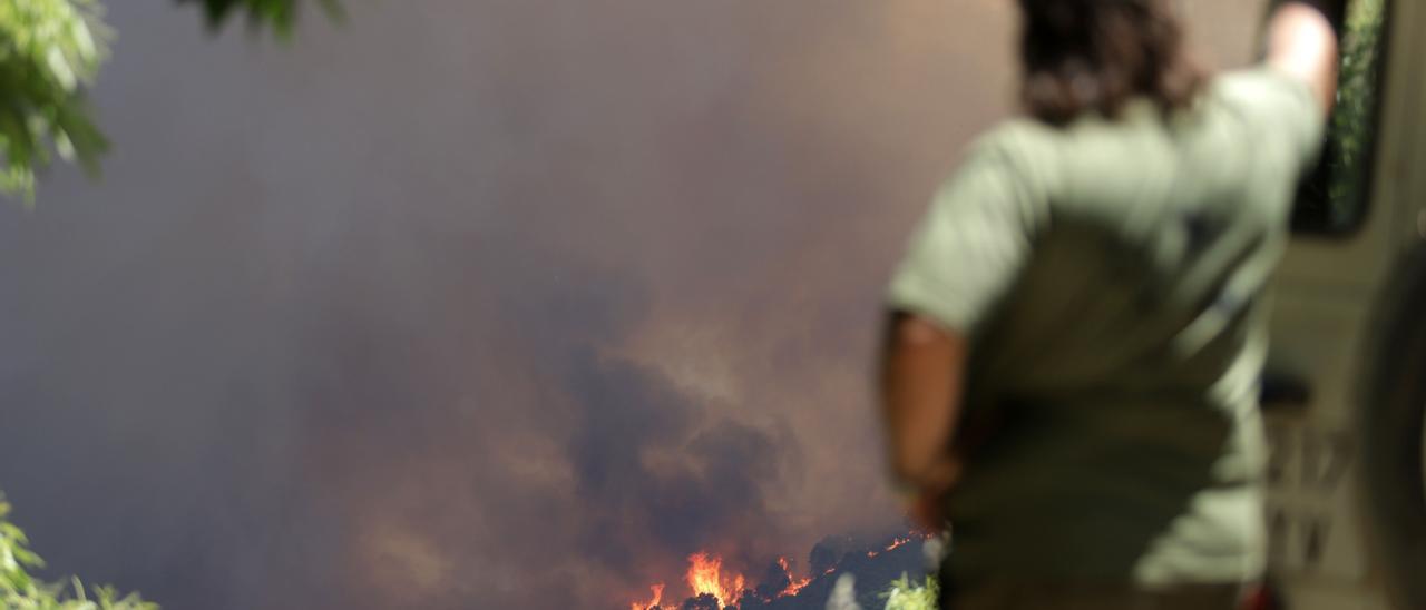 Estabilizado el incendio de Sierra Bermeja tras arrasar 3.500 hectáreas