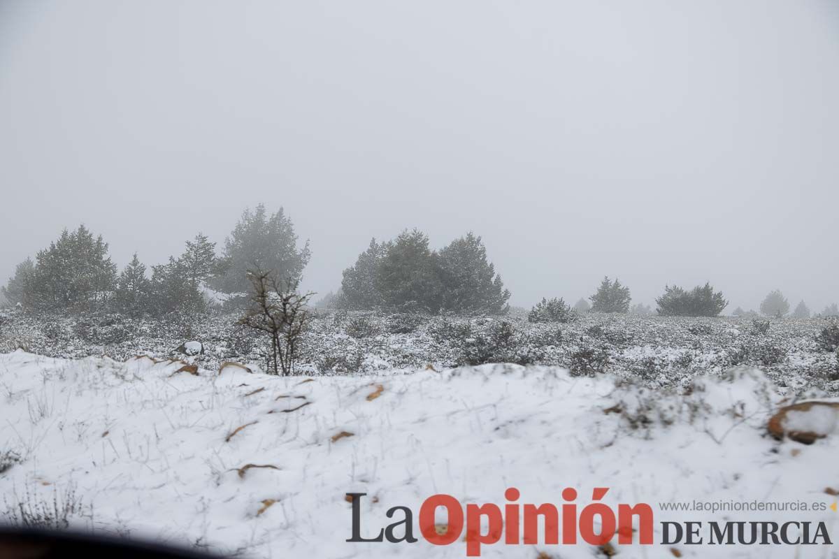 Nieve en el Noroeste