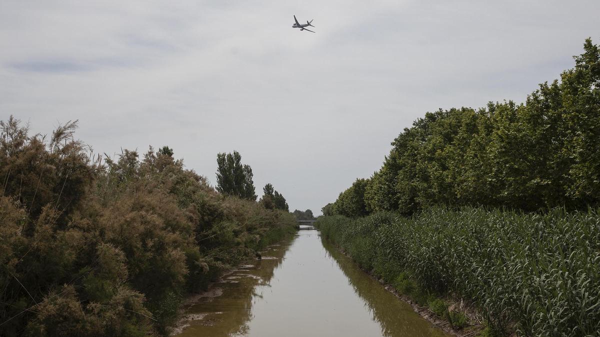 Un avión con destino a Miami sobrevuela los dominios del delta del Llobregat tras despegar desde la tercera pista de El Prat