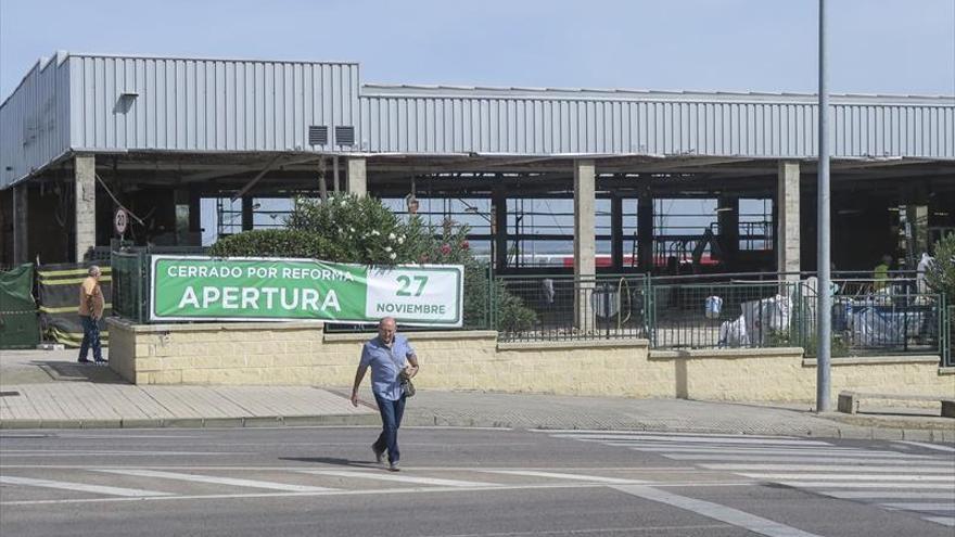 Mercadona abrirá en Mejostilla su nuevo modelo de ‘tienda eficiente’