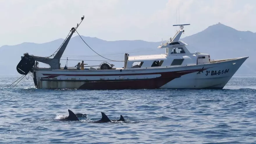 Diversos dofins seguint un vaixell de pesca amb arts d&#039;arrossegament