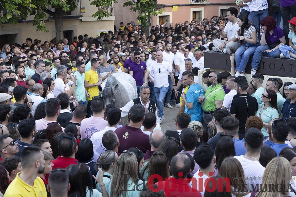 Fiestas de Caravaca | Entrega de premios del concurso morfológico