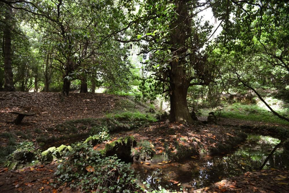 El Jardín Botánico de Lourizán, un pulmón verde