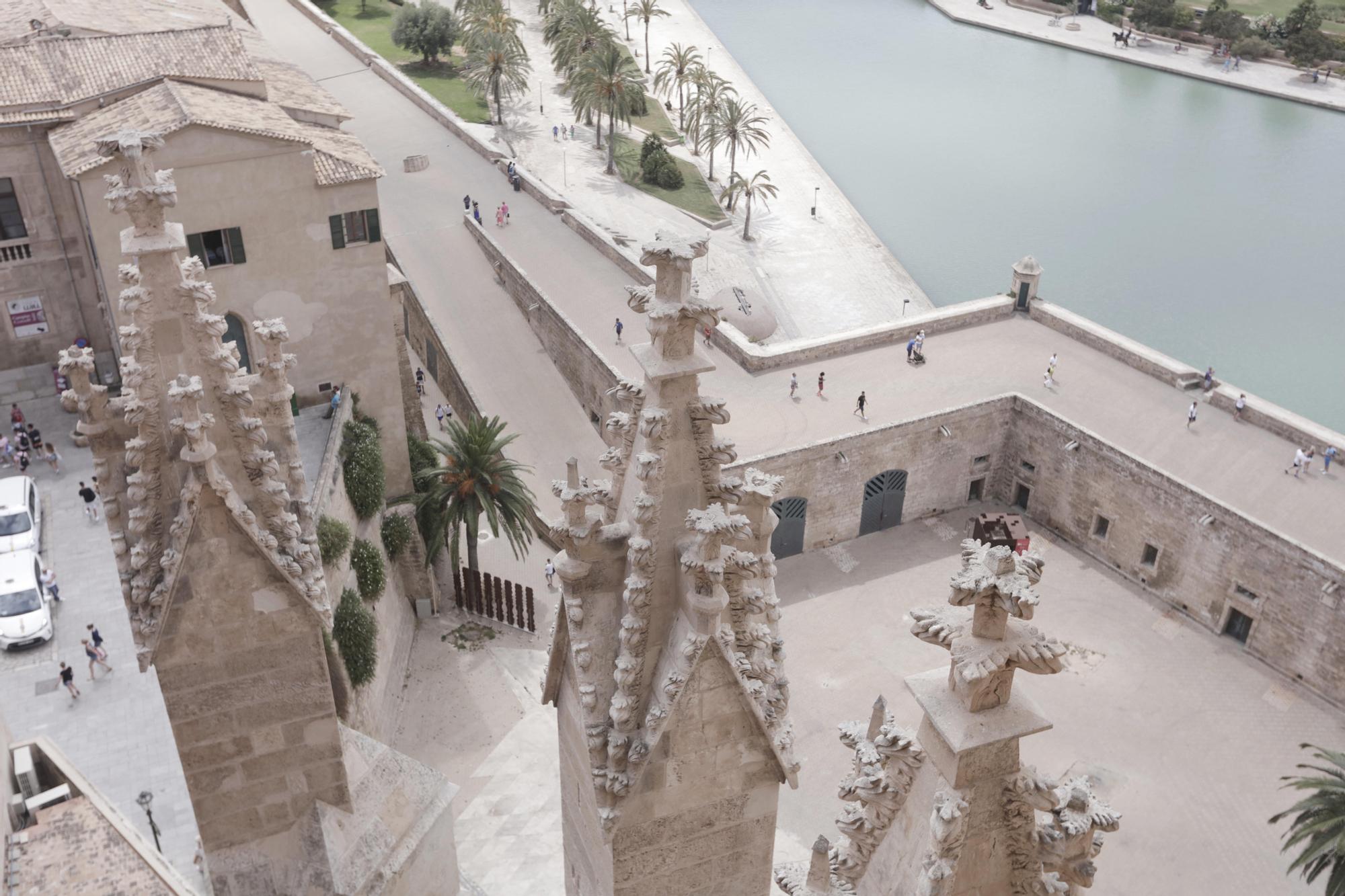 Visita a las terrazas de la Catedral