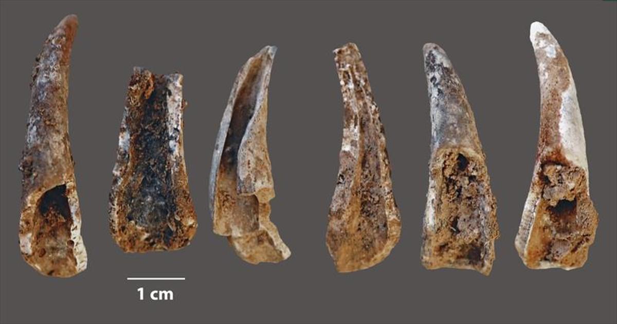 La pesca en el mar ya atrajo a los neandertales