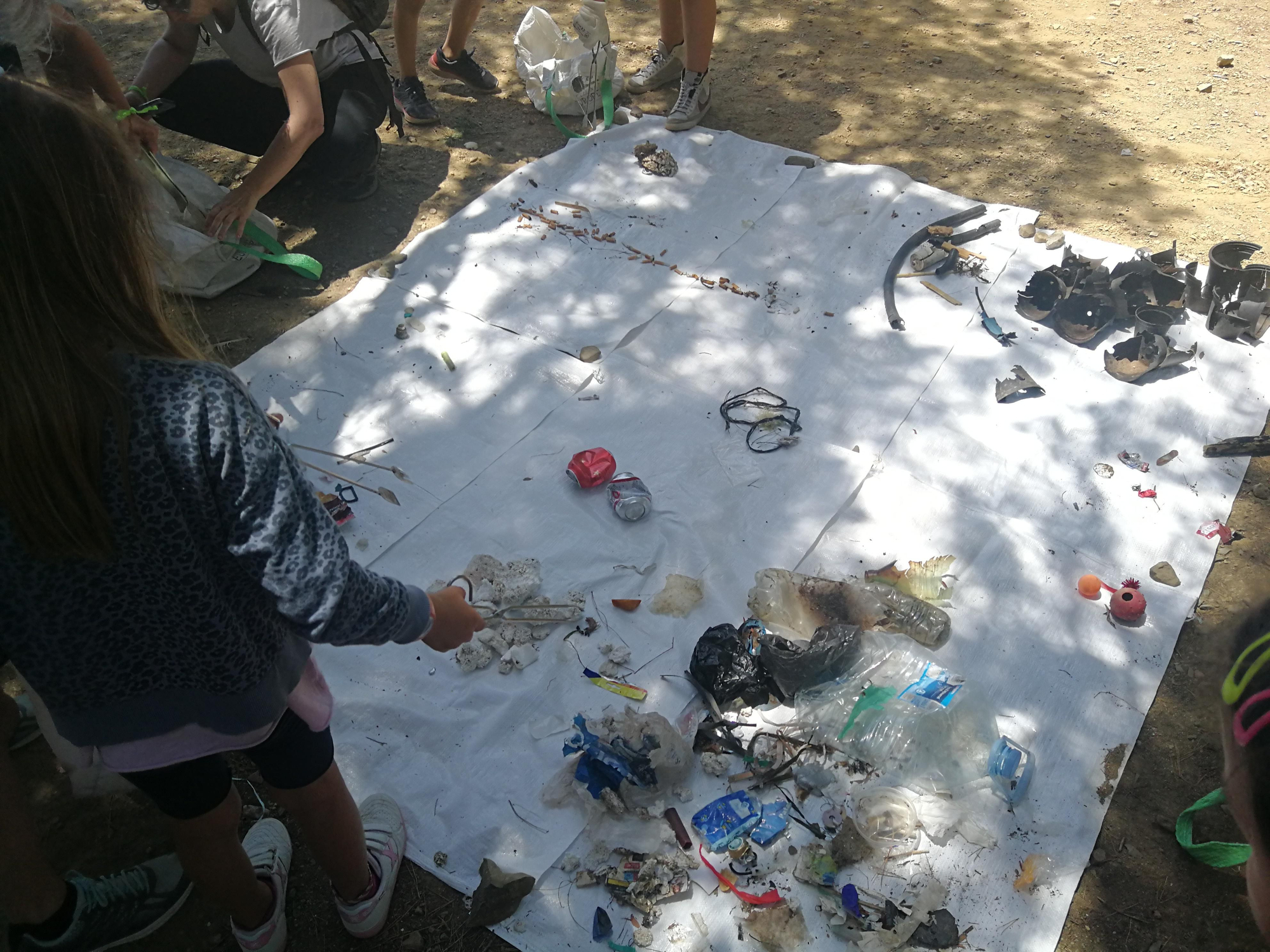 Les escoles verdes de l’Alt Empordà recullen brossa en una platja de Llançà