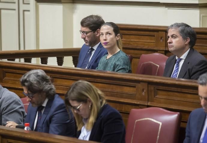 Delia Padrón Pleno del Parlamento de Canarias , Santa Cruz de Tenerife , presidente Fernando Clavijo CC