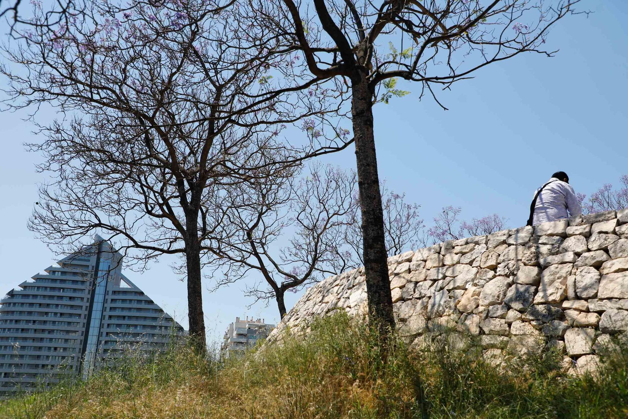 Parque de Cabecera, uno de los pulmones de València