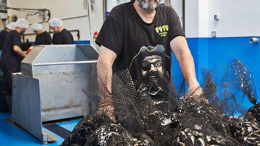 Emilio Barrio, en la nave de depuración de Clóchinas Emilio.