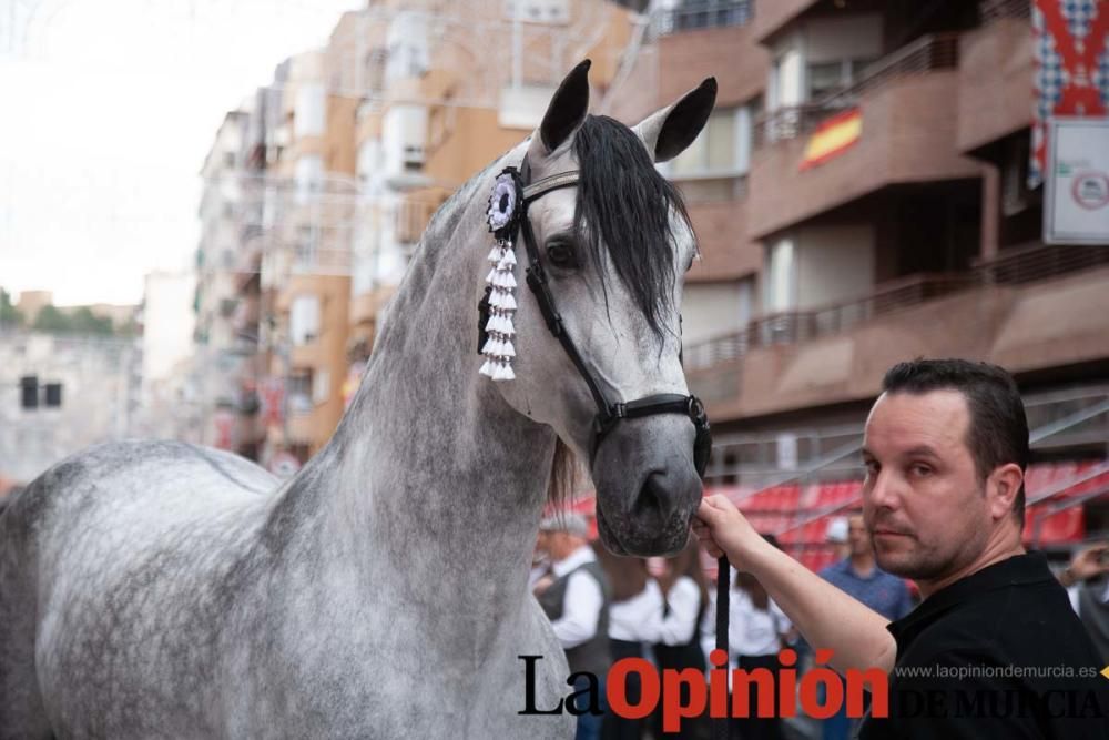 Caballos del Vino: Concurso morfológico (salida Pl