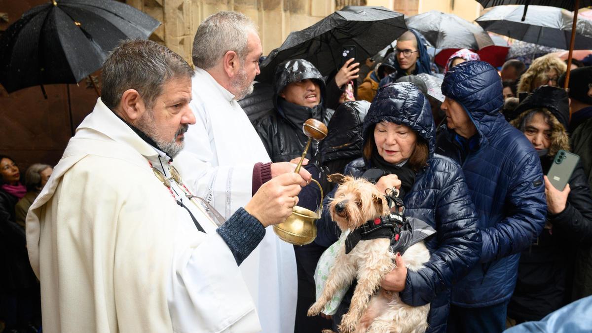 Celebración de la fiesta de San Antón en Zaragoza.