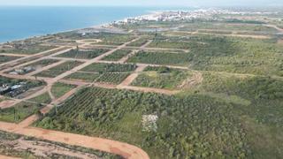 Las máquinas abandonan el PAI Golf Sant Gregori de Burriana tras paralizarse las obras