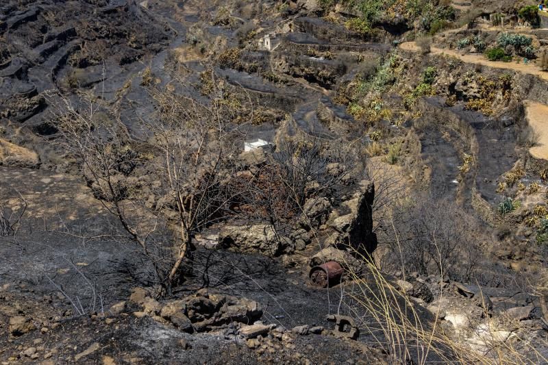 Consecuencias del incendio: De Valleseco a Artenar