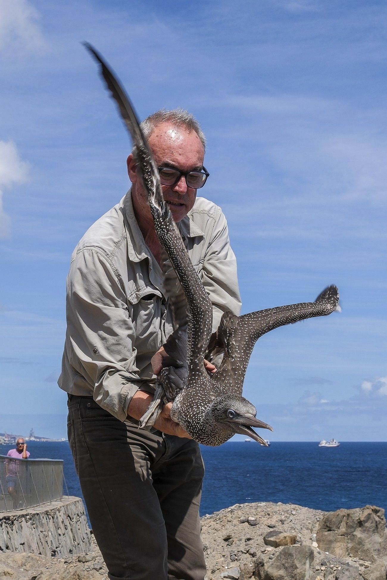 Suelta de un alcatraz en La Laja