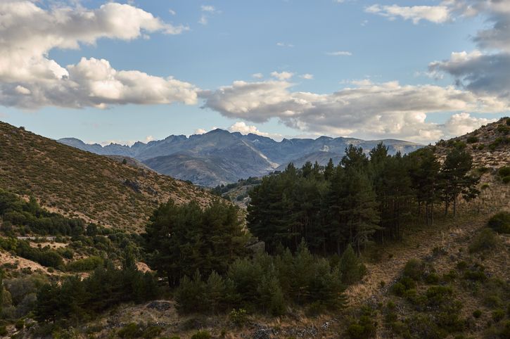 La sierra de Gredos vista desde Peñanegra.