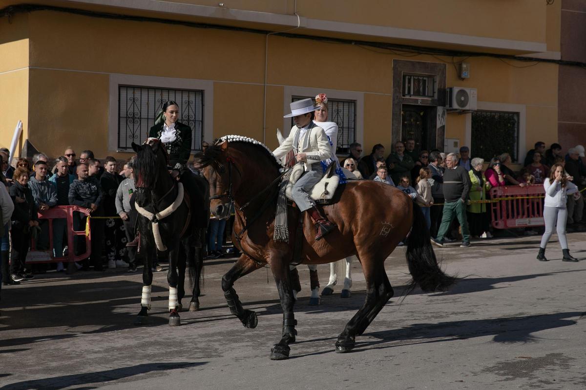 Así ha sido la celebración de San Antón en Cartagena
