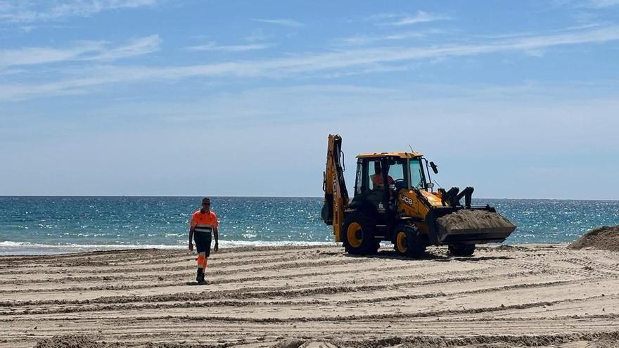 Orihuela gastará más de 80.000 euros en retirar las algas de sus playas