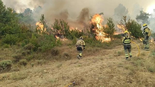 Bombers lluitant contra el foc a l’Aragó. | INFOAR