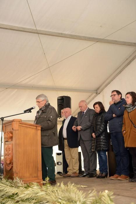 XXVII Certamen de Queso de Afuega'l Pitu en Morcín