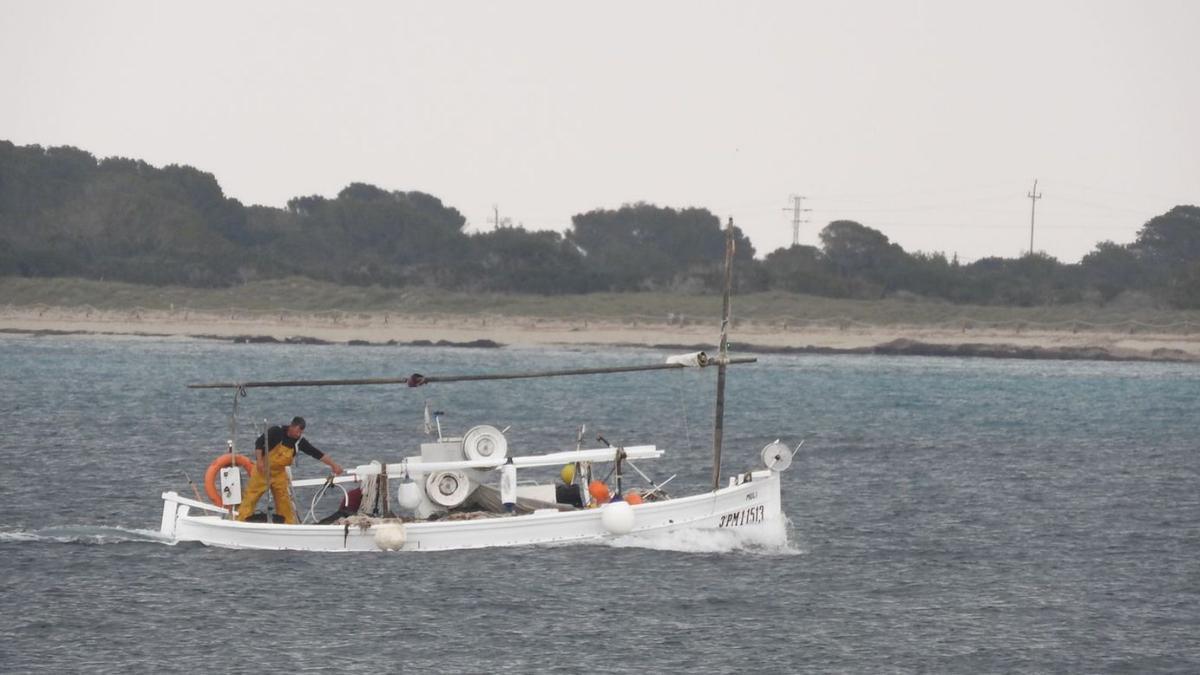 Un ‘llaüt’ pescando en Formentera. | C. C.