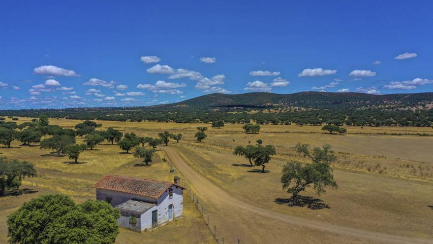 El estaño aspira a despertar al Guadiato