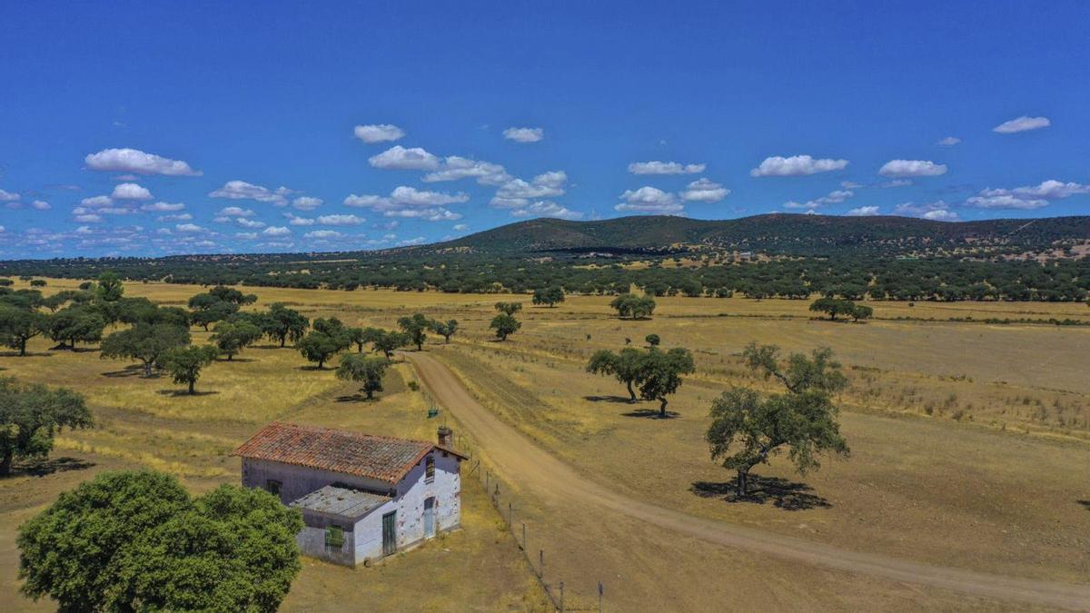 El emplazamiento de la mina Oropesa, en Fuente Obejuna.