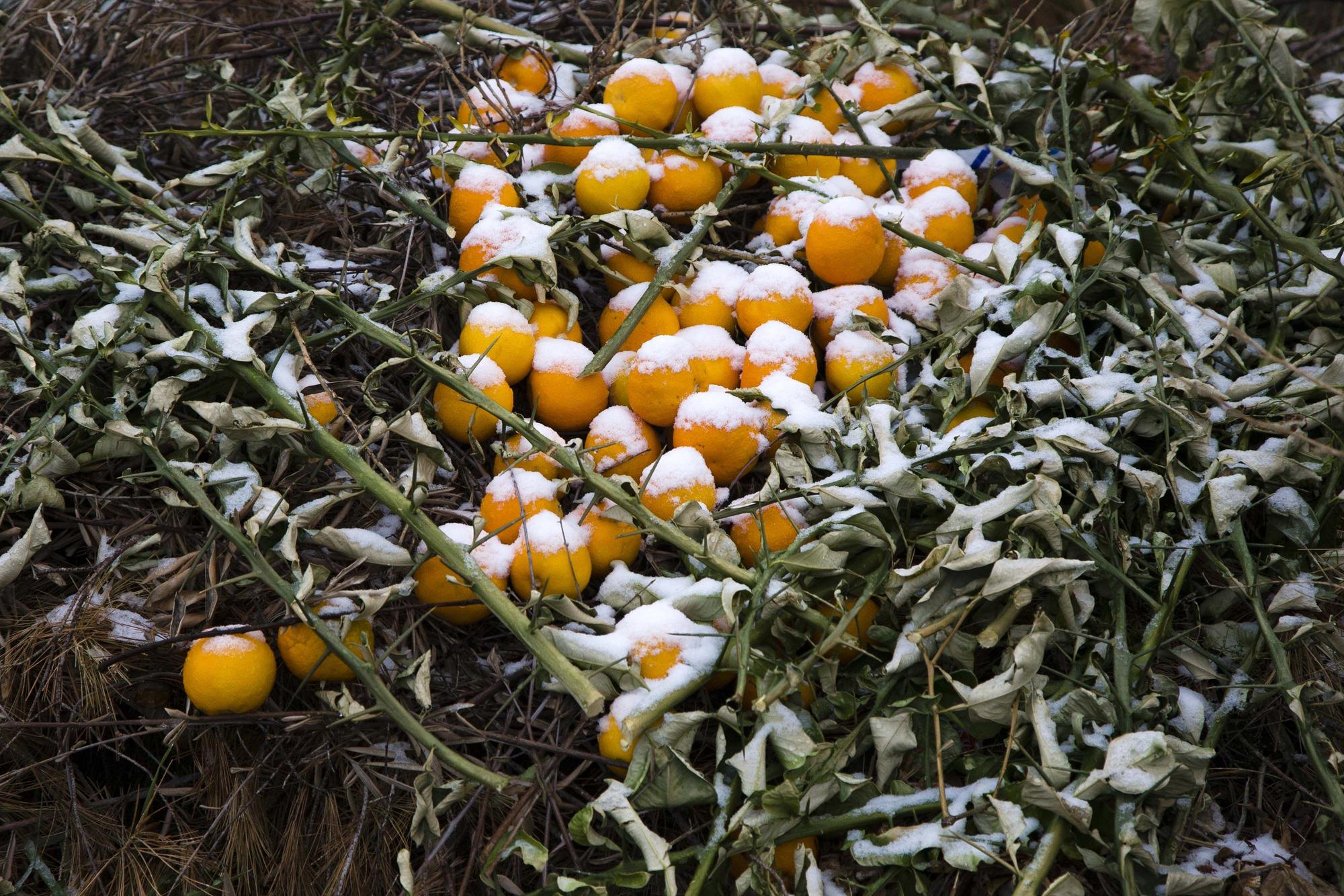 Nevadas débiles en los puntos más altos de l'Alcoià y El Comtat