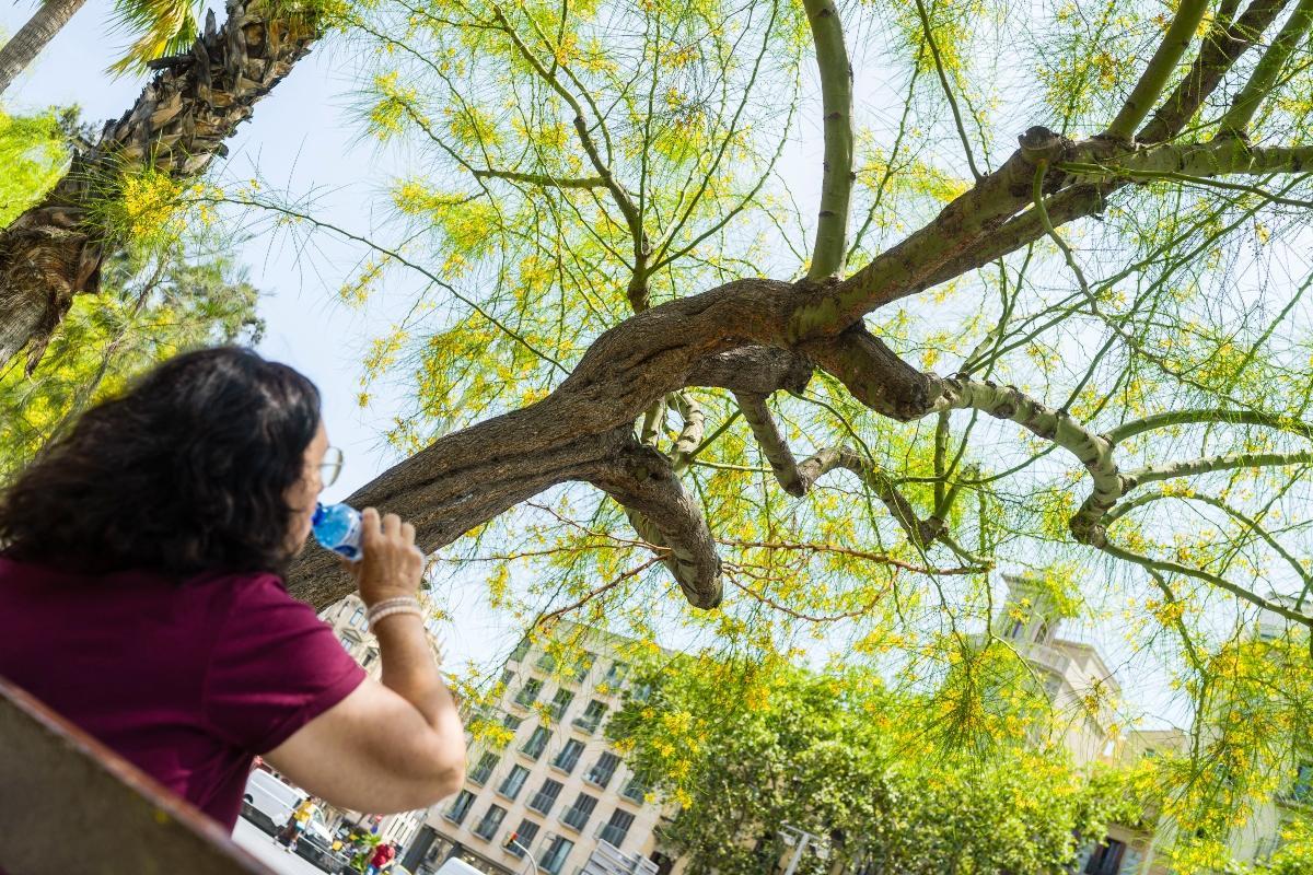 Los síntomas alérgicos, como viene ocurriendo en los últimos años, se adelanta a la primavera
