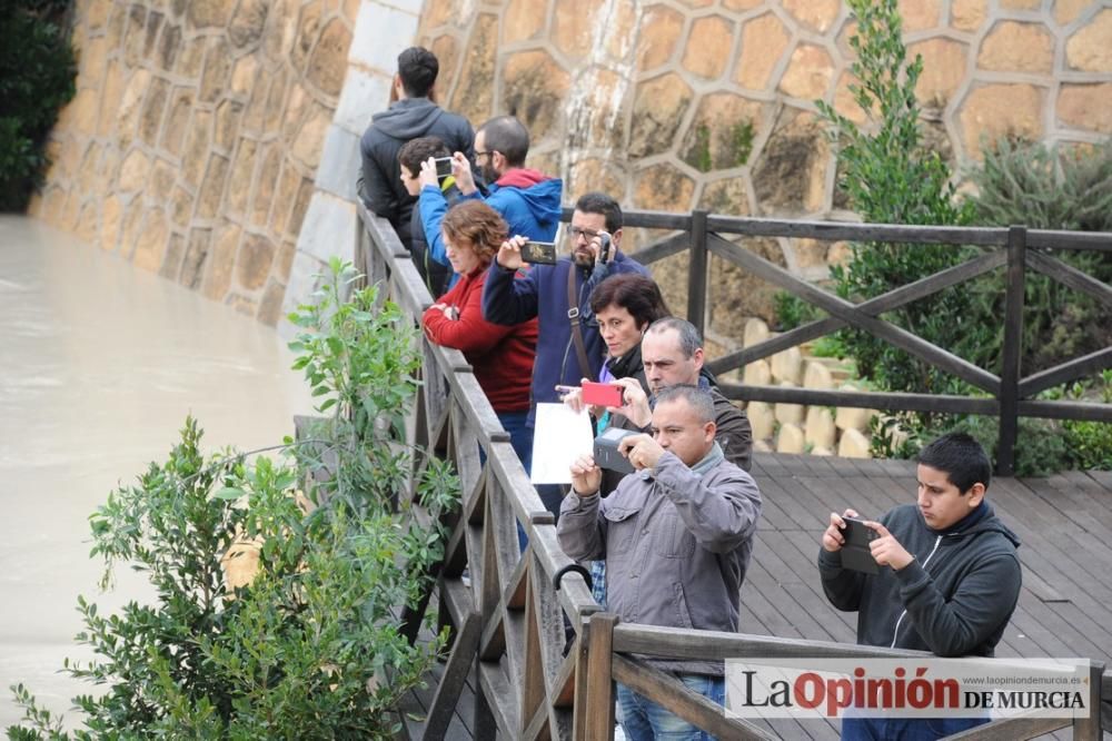 Crecida del Río Segura