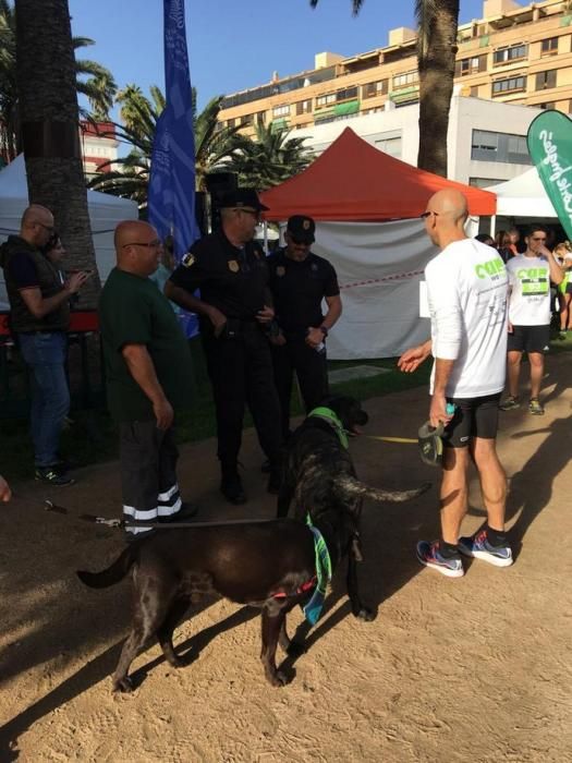 Carrera de mascotas Can We Run