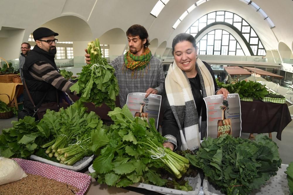 Presentación del Foro Galego de Agroecoloxía