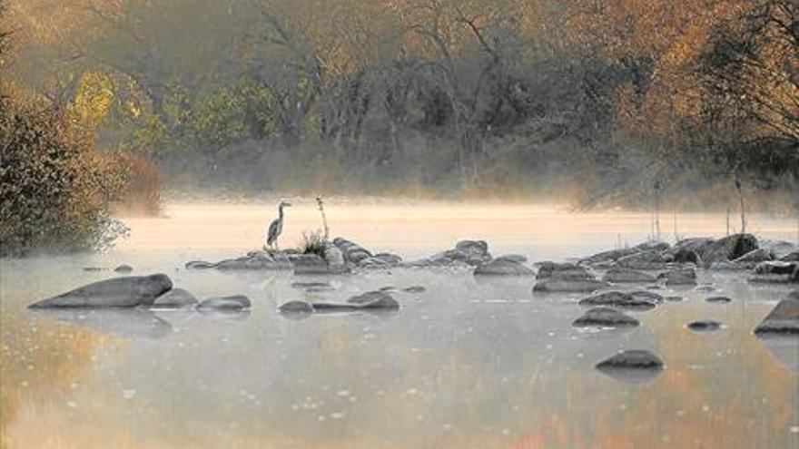 Muestra de fotografía de naturaleza en el Carvajal