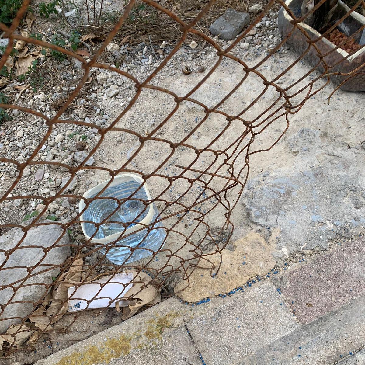 Un recipiente de agua de una colonia felina