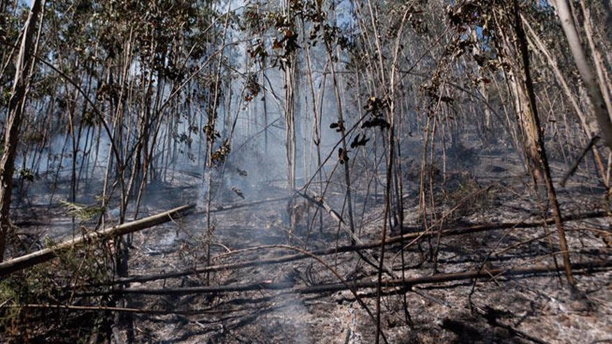 Controlado el incendio que arrasó más de 65 hectáreas en Vilaboa