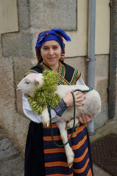 Corderas, pastoradas y festivales en el mundo rura