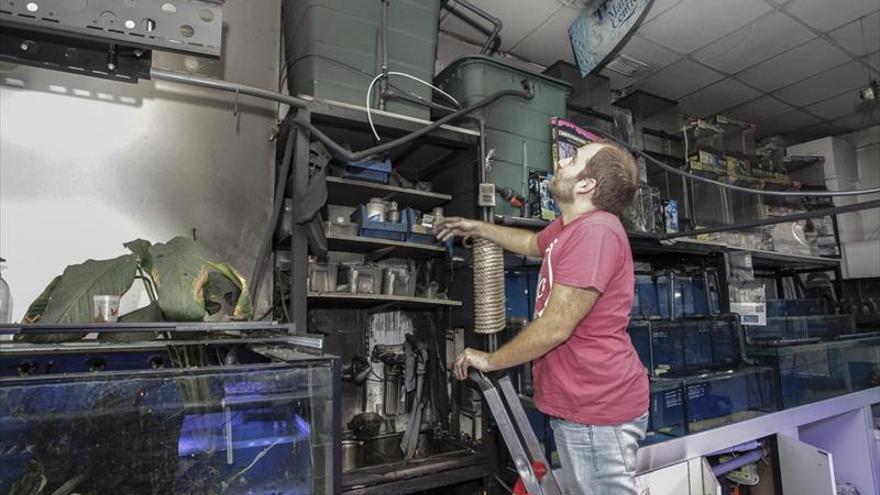 Incendio en el centro veterinario Azureus de Cáceres