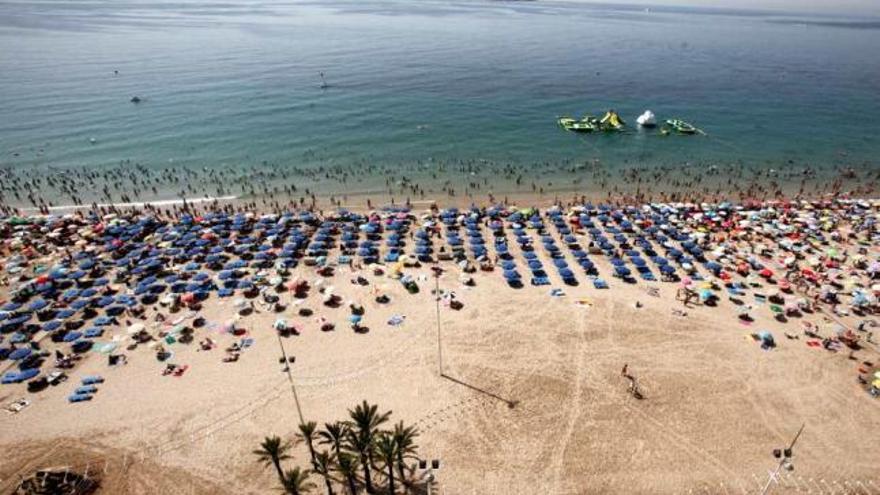 Vista general de las hamacas de la playa de Levante en una imagen del verano de 2012.