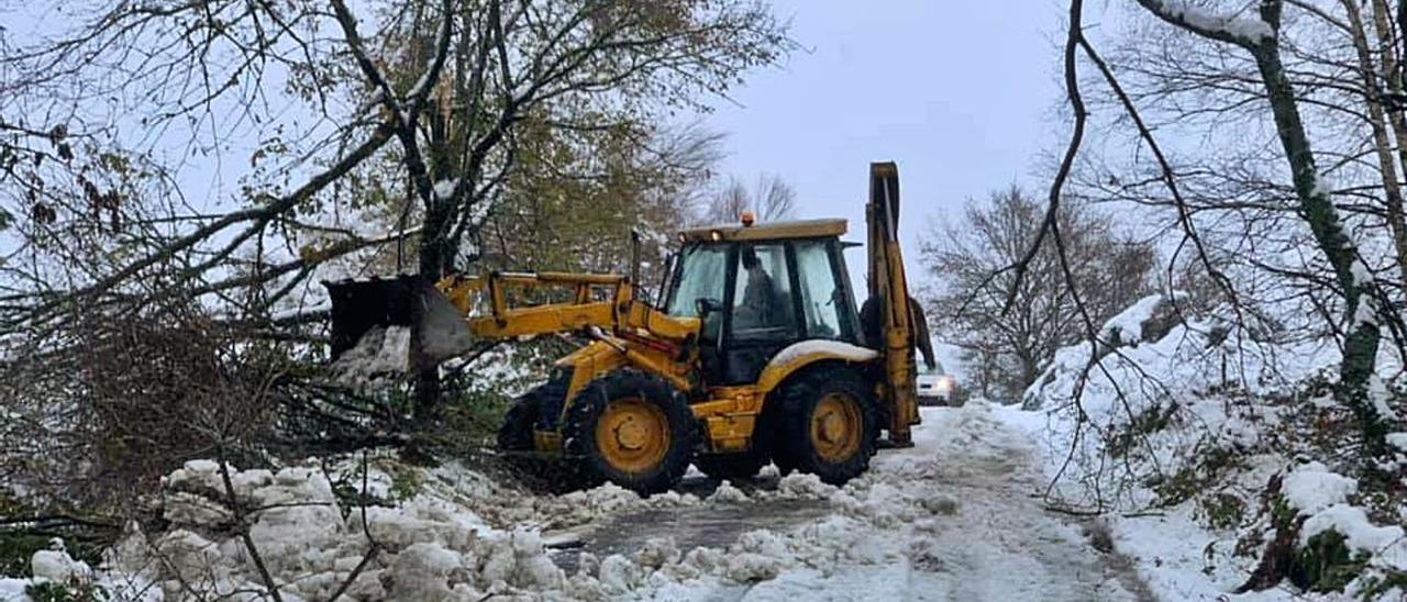 Una paleadora retira rama caídas en una pista de Rodeiro. |