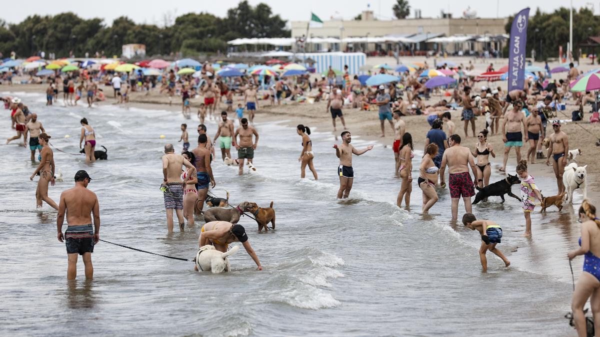 Otro verano mas los perros pueden disfrutar de la playa en Pinedo
