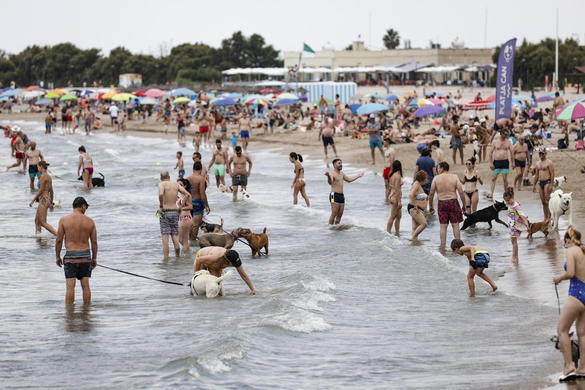 Otro verano mas los perros pueden disfrutar de la playa en Pinedo