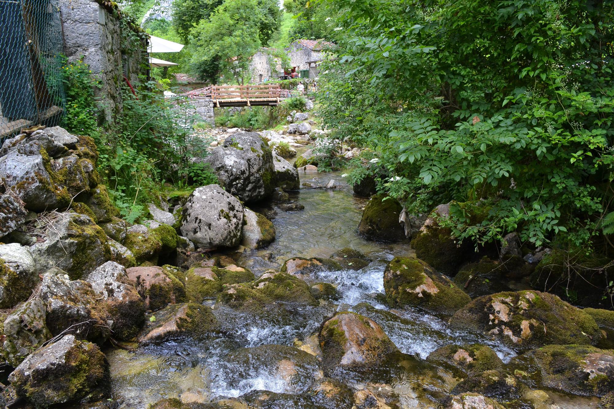 Detalle del río a su paso por Bulnes.