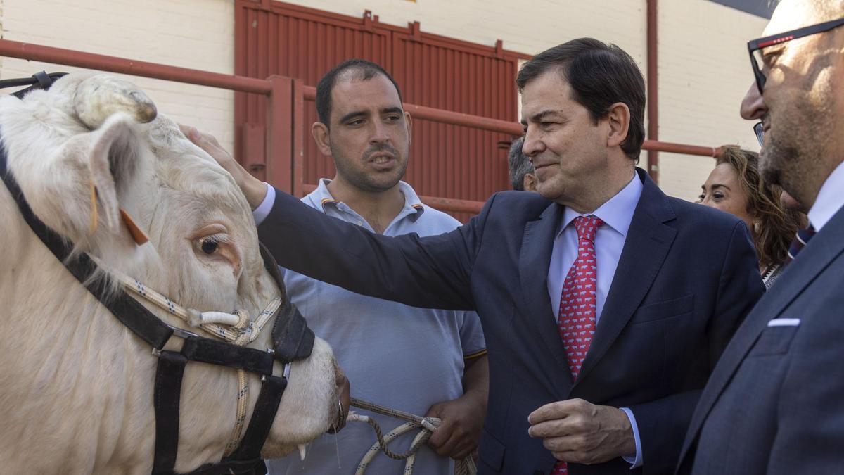 El presidente de la Junta, Fernández Mañueco, en Salamaq.