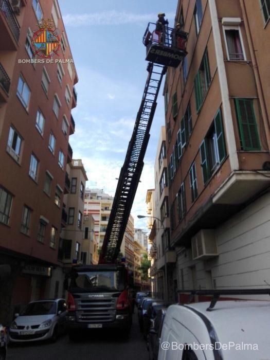 Incidentes por el fuerte viento en Palma