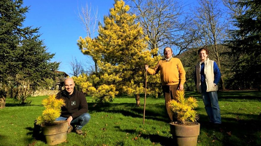 El botánico maliayés está en San Justo: entramos en el vergel de Los Molinos para pasear entre abedules del Himalaya y camelias vietnamitas