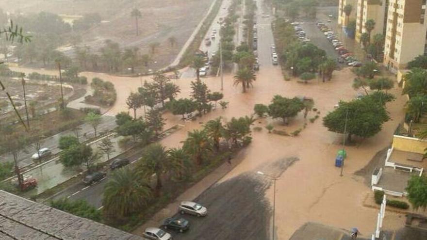 Roldós achaca el retraso de la ayuda por las lluvias de 2015 al Consistorio