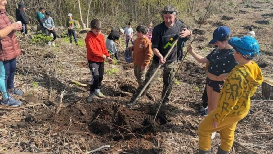 Alumnos de Ponte Caldelas crean un bosque de mil árboles en Forzáns | FDV