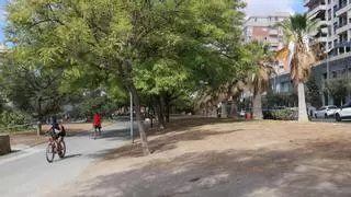 El parque de la avenida de la Goleta de Alicante se seca ante la falta de mantenimiento: "Está todo abandonado"